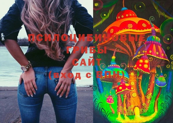 бошки Гусь-Хрустальный